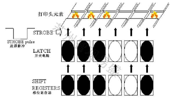 Print head element